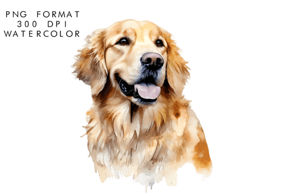 Warm Up Your Designs with Watercolor Golden Retriever Dog Clipart